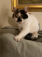 /album/265/whatsapp-image-2026-03-25-at-19-48-52-2-jpeg/